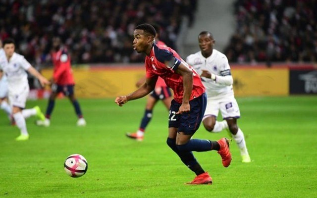 体坛天花板 体坛天花板